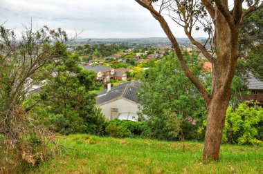 Park Wilson 'da yağmurlu bir gün. Park, Victoria, Avustralya 'daki Berwick' teki Princes Highway 'de yer almaktadır..