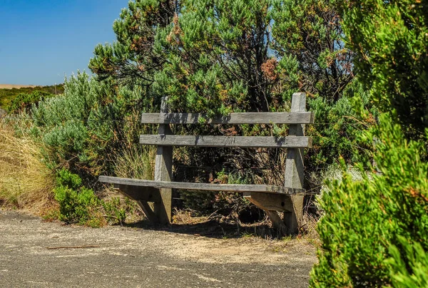 Bench on a walking path along the Pacific ocean.