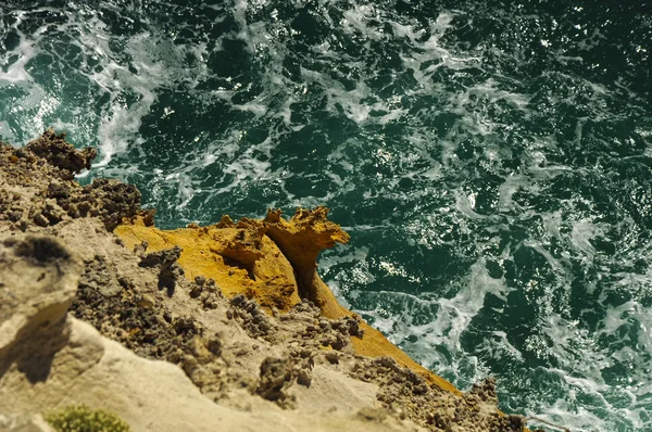 太平洋の岩と波 — ストック写真