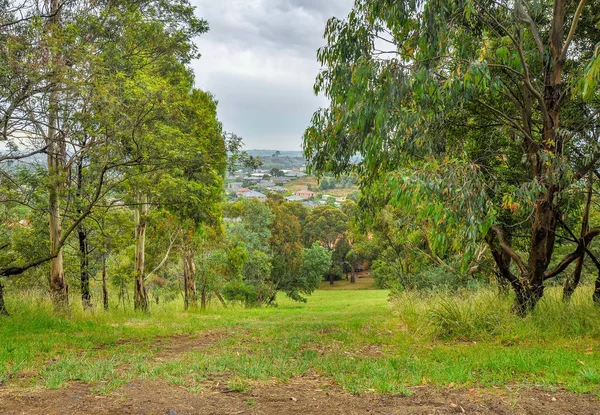 Día Lluvioso Parque Wilson Parque Está Situado Carretera Princes Highway — Foto de Stock