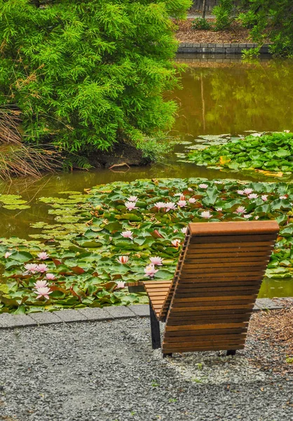 Rainy Day Park Wilson Park Located Princes Highway Berwick Victoria — Stock Photo, Image