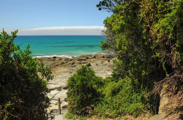 Lato Australijskim Wybrzeżu Pacyfiku — Zdjęcie stockowe