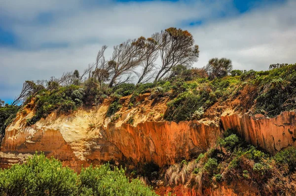 Viajando Por Australia Gran Camino Oceánico Parque Nacional Campbell — Foto de Stock