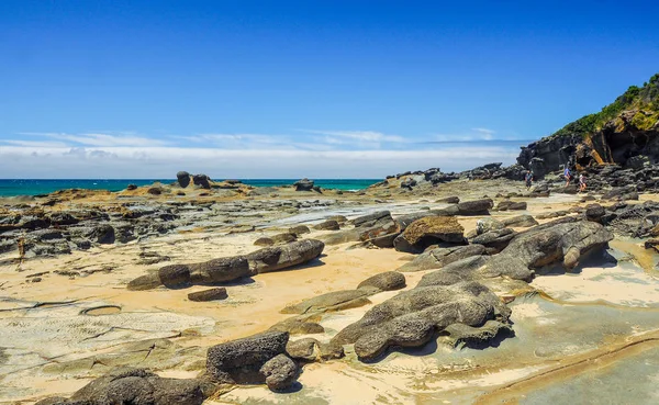 Sommer Der Australischen Pazifikküste — Stockfoto