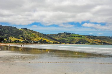 Pasifik Okyanusu 'nun Avustralya Sahili 