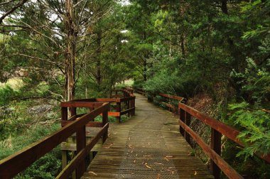 Park Wilson 'da yağmurlu bir gün. Park, Victoria, Avustralya 'daki Berwick' teki Princes Highway 'de yer almaktadır..