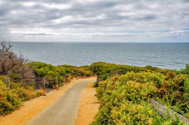 Apollo Körfezi'nde Avustralya Pasifik kıyısında bir favori sörf nokta. 