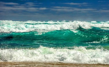 Pasifik kıyısındadalgalar. Avustralya'ya yolculuk.