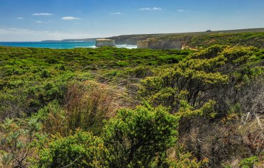 Avustralya'nın doğal anıtı. On iki havari