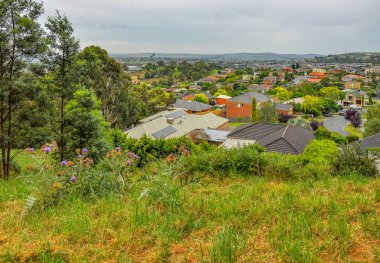Park Wilson 'da yağmurlu bir gün. Park, Victoria, Avustralya 'daki Berwick' teki Princes Highway 'de yer almaktadır..