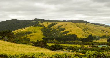 Pasifik Okyanusu'nun Güneşli kıyıları.