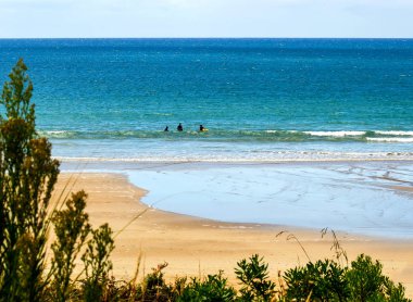 Pasifik Okyanusu'nun mavisinin tüm tonları. Avustralya kıyıları.