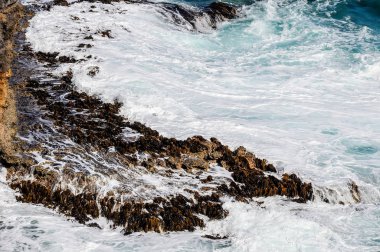 Pasifik Okyanusu'nun kayaları ve dalgaları.