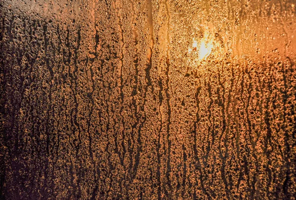 早朝の濡れ窓ガラス — ストック写真