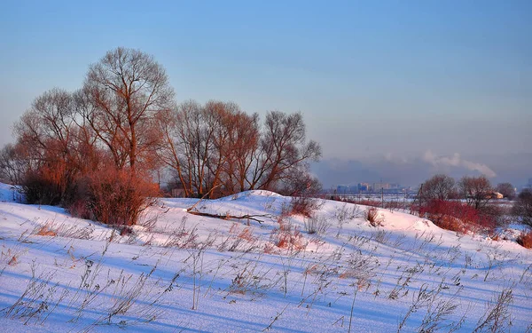 Belle Vue Sur Paysage Mars — Photo