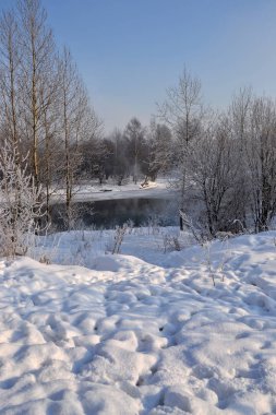 Güneşli bir kış günü. Slavyanka Nehri'nin Kıyısı.
