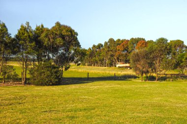 Avustralya kırsal peyzaj. Warrnambool
