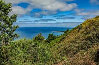 Apollo Körfezi'nde Avustralya Pasifik kıyısında bir favori sörf nokta. 
