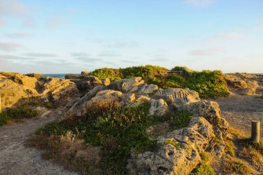 Avustralya Pasifik kıyısında yaz