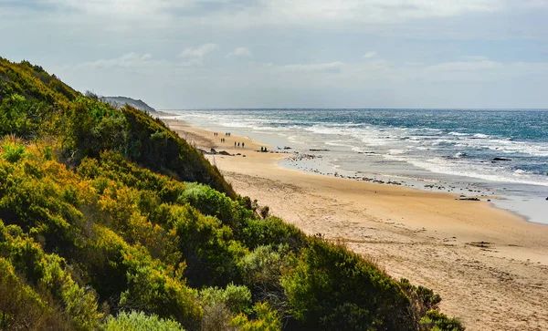 Den Soliga Kusten Stilla Havet — Stockfoto