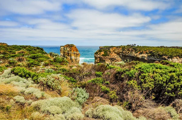 Viaggiare Australia Grande Strada Oceanica Parco Nazionale Campbell — Foto Stock