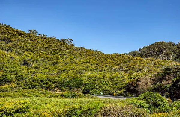 Naturliga Monument Australien Tolv Apostlarna — Stockfoto