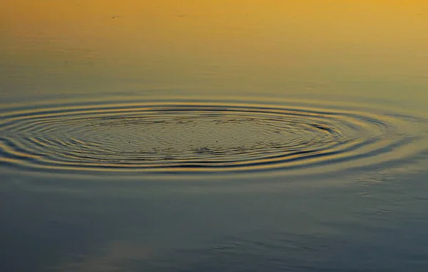 Reflet Des Maisons Dans Eau Rivière Modèle Abstrait Créé Par — Photo