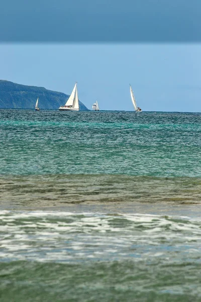 Sommer Der Australischen Pazifikküste — Stockfoto