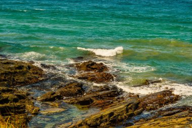 Pasifik Okyanusu'nun mavisinin tüm tonları. Avustralya kıyıları.