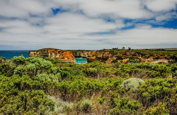 Viaggiare Australia Grande Strada Oceanica Parco Nazionale Campbell — Foto Stock