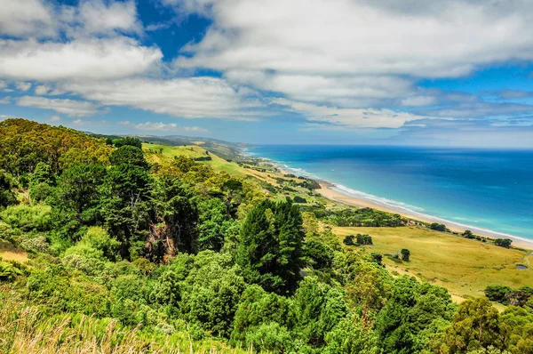 Apollo Körfezi'nde Avustralya Pasifik kıyısında bir favori sörf nokta. 