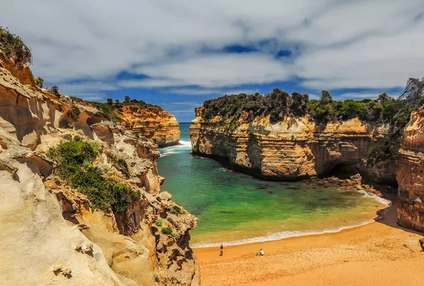 Viajando Pela Austrália Grande Estrada Oceânica Parque Nacional Campbell — Fotografia de Stock