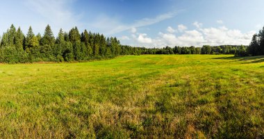 Güneşli bir yaz gününde yeşil alan
