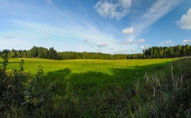 Güneşli bir günde yeşil alan ile Amazing yaz manzara