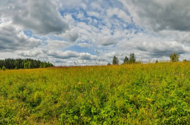 Nehir kenarında yaz günü