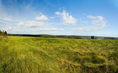 Güneşli bir günde yeşil ile Amazing yaz manzara