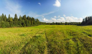 Güneşli bir yaz gününde yeşil alan