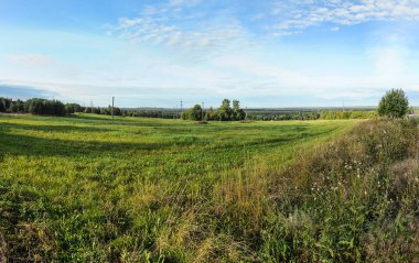 Güneşli bir yaz gününde yeşil alan