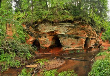 Nehrin kıyısında güneşli bir gün