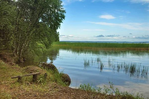 Jezioro Otradnoe Obwodzie Leningradzkim — Zdjęcie stockowe
