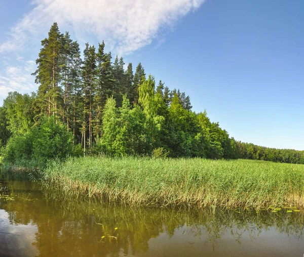 Zonnige Ochtend Aan Het Meer Otradnoe Leningrad Regio — Stockfoto