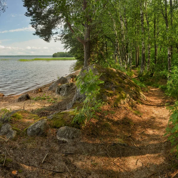 Strandkanten Sjön Otradnoe Leningradregionen — Stockfoto