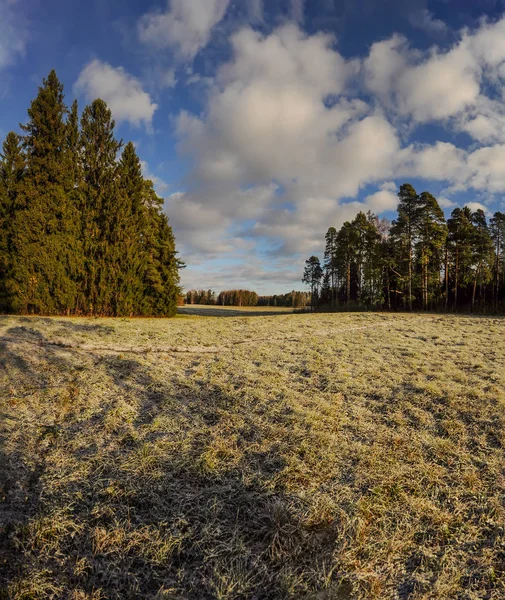 Manhã Gelada Paisagem Outono Parque Pavlovsk — Fotografia de Stock