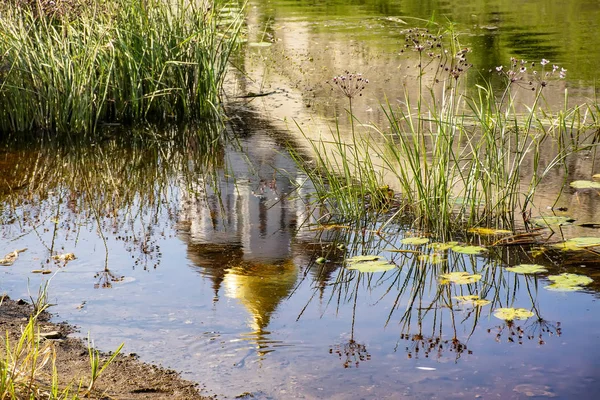 Pskov Holy Trinity Katedrali şehrin ana cazibe, Rusya'nın en eski kiliselerinden biridir. 