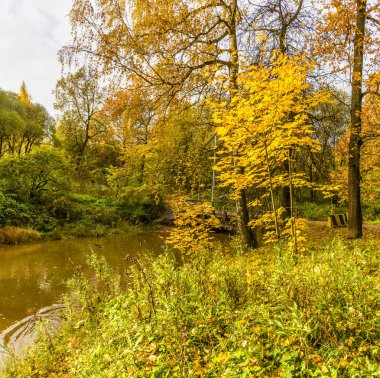 Murzink kıyısında ihmal park güneşli sonbahar günü