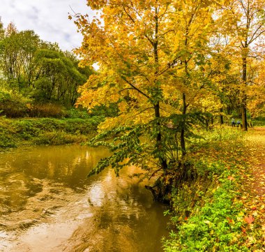 Murzink kıyısında ihmal park güneşli sonbahar günü