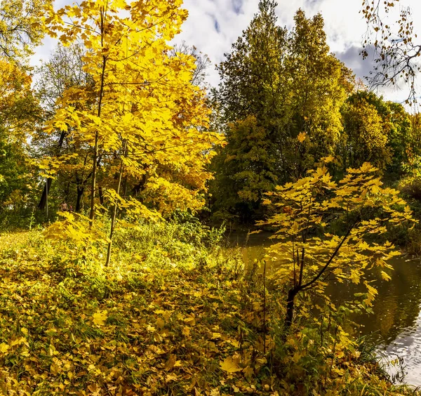Murzink kıyısında ihmal park güneşli sonbahar günü