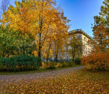 St Petersburg Lopukhinsky bahçesinde Altın sonbahar. 