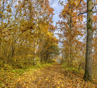 Duderhof yükseklikleri, doğal bir anıt, glacia tepelerin bir grup