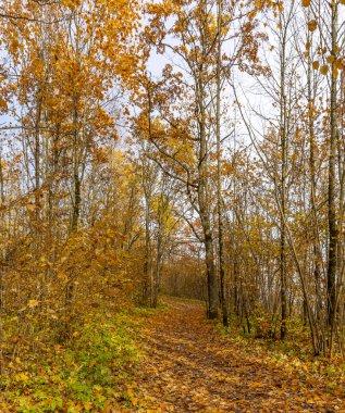 Duderhof yükseklikleri, doğal bir anıt, glacia tepelerin bir grup